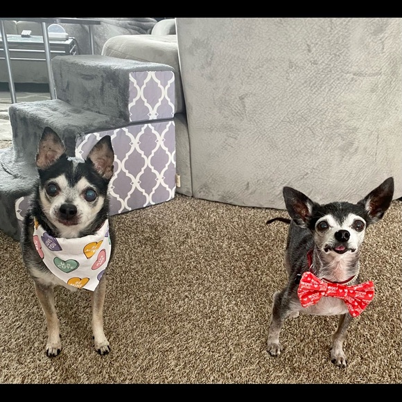 Meet Stephanie! - Picture 4 of 5